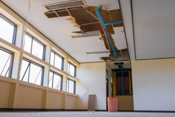Best Mold removal after water damage  in Piketon, OH