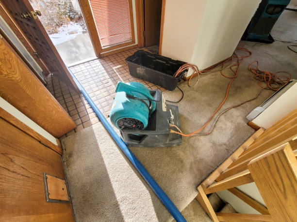Best Emergency water damage restoration  in Piketon, OH
