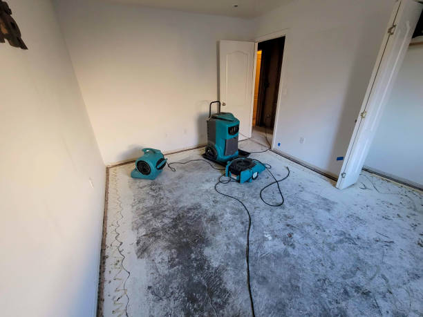 Best Carpet water damage restoration  in Piketon, OH