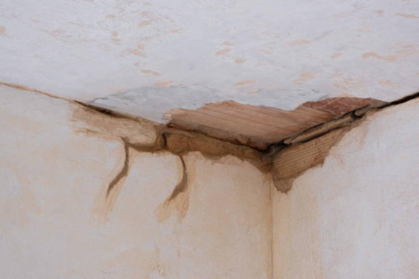 Best Water damage restoration near me  in Piketon, OH