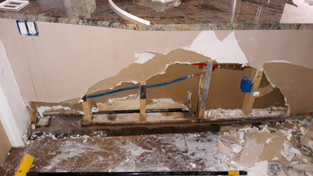 Best Water damage contractors near me  in Piketon, OH