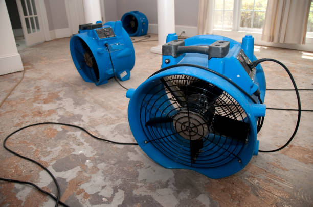 Best Fire Damage Restoration  in Piketon, OH