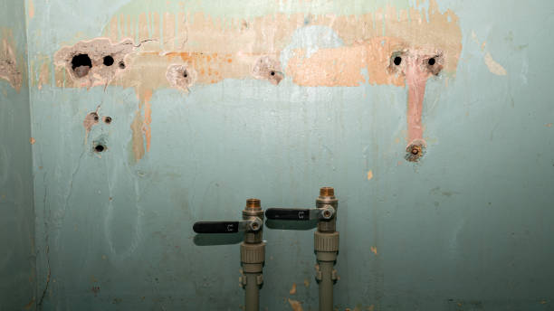 Best Carpet water damage restoration  in Piketon, OH