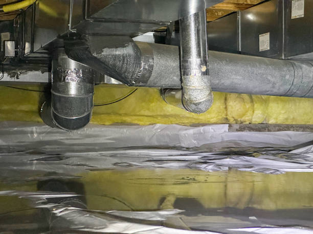 Best Water damage contractors near me  in Piketon, OH