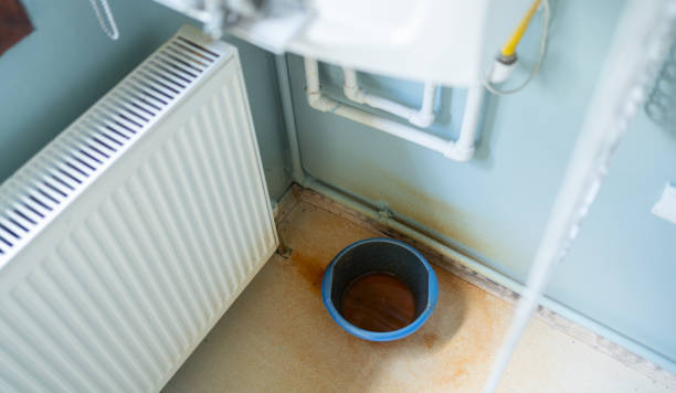 Best Mold removal after water damage  in Piketon, OH