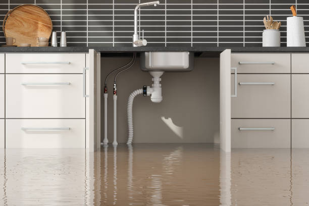 Best Mold removal after water damage  in Piketon, OH