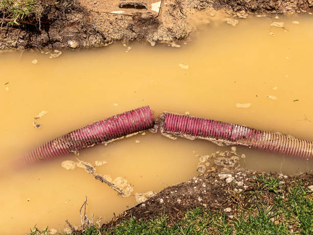 Best Water damage restoration near me  in Piketon, OH