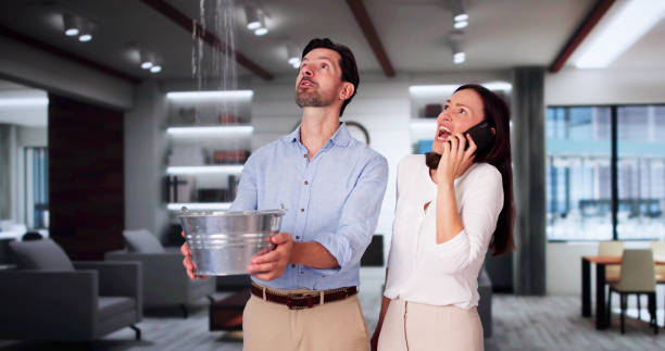 Best Water damage cleanup near me  in Piketon, OH