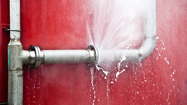 Best Sewage cleanup and water damage restoration  in Piketon, OH